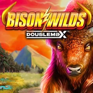 Bison Wilds